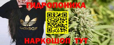 мяу мяу мука Балахна