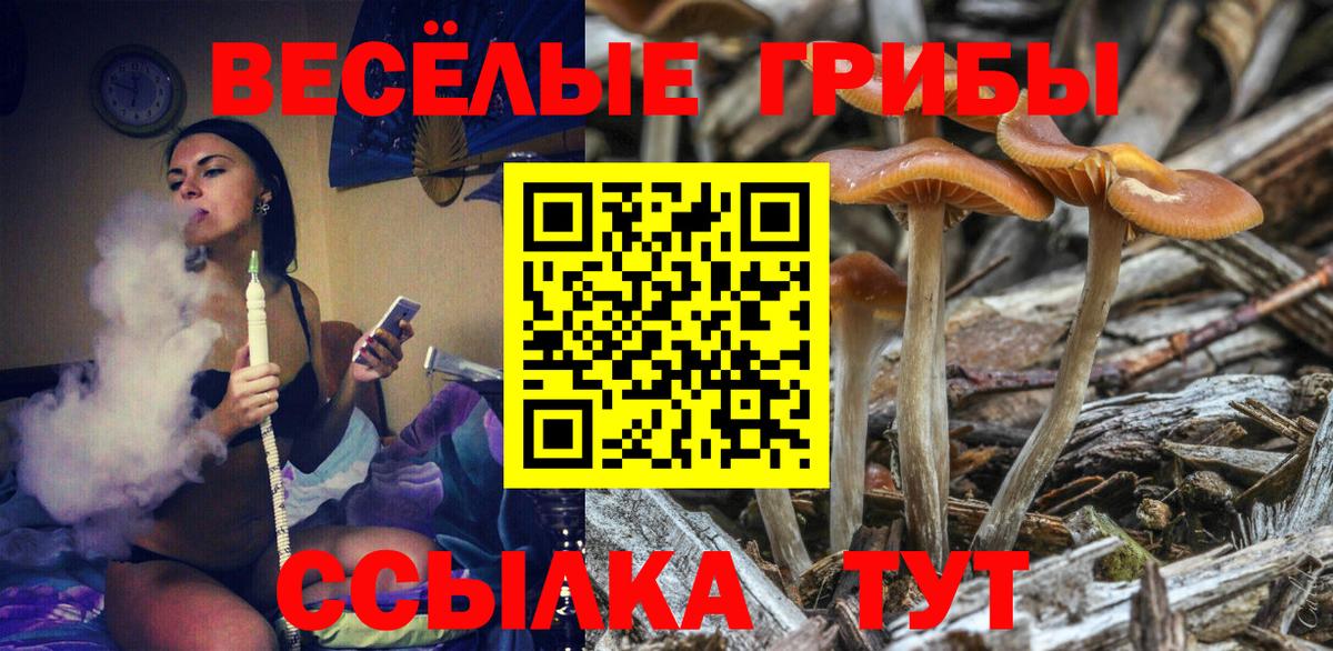 Елец  Галлюциногенные грибы Psilocybe  Псилоцибиновые грибы MAGIC MUSHROOMS  Вход с VPN 